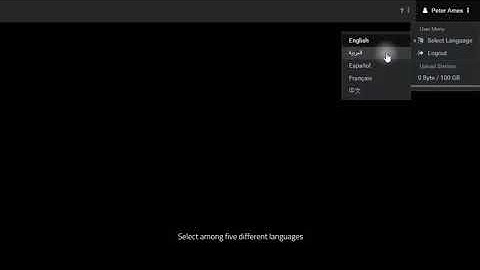 VAM2 Tutorial 2-Project List-2-User Menu Weiss AG