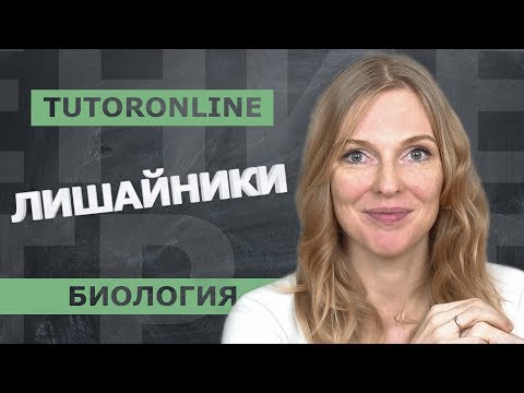 Видео: Биология | Лишайники.  Представители лишайников