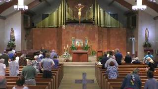 15th Sunday of Ordinary Time - 11am