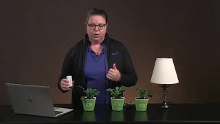 Can Plants Survive without Light