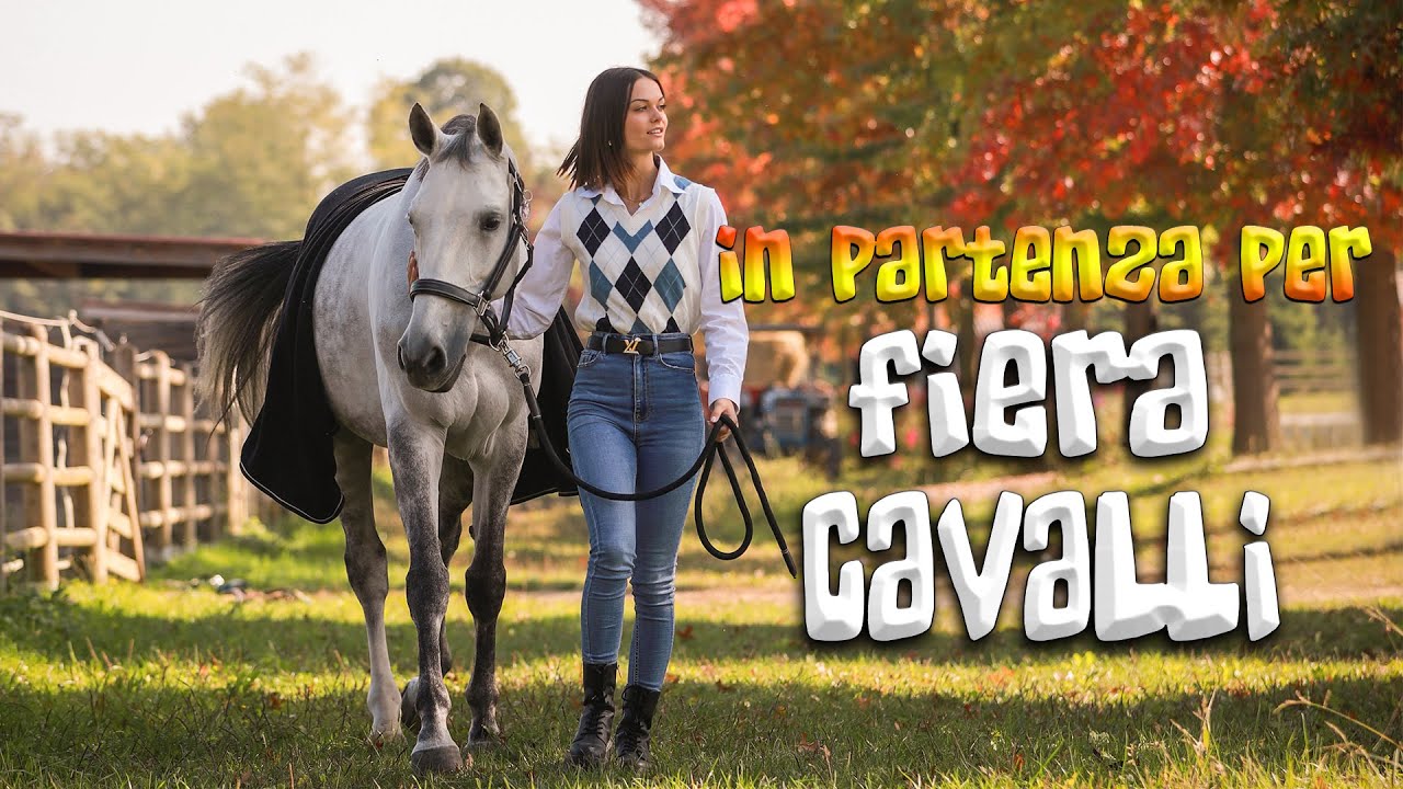 PREPARATIVI per FIERA CAVALLI VERONA! IO E CORBREKA GAREGGEREMO💜🐴