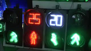 dynamic pedestrian traffic light for sale