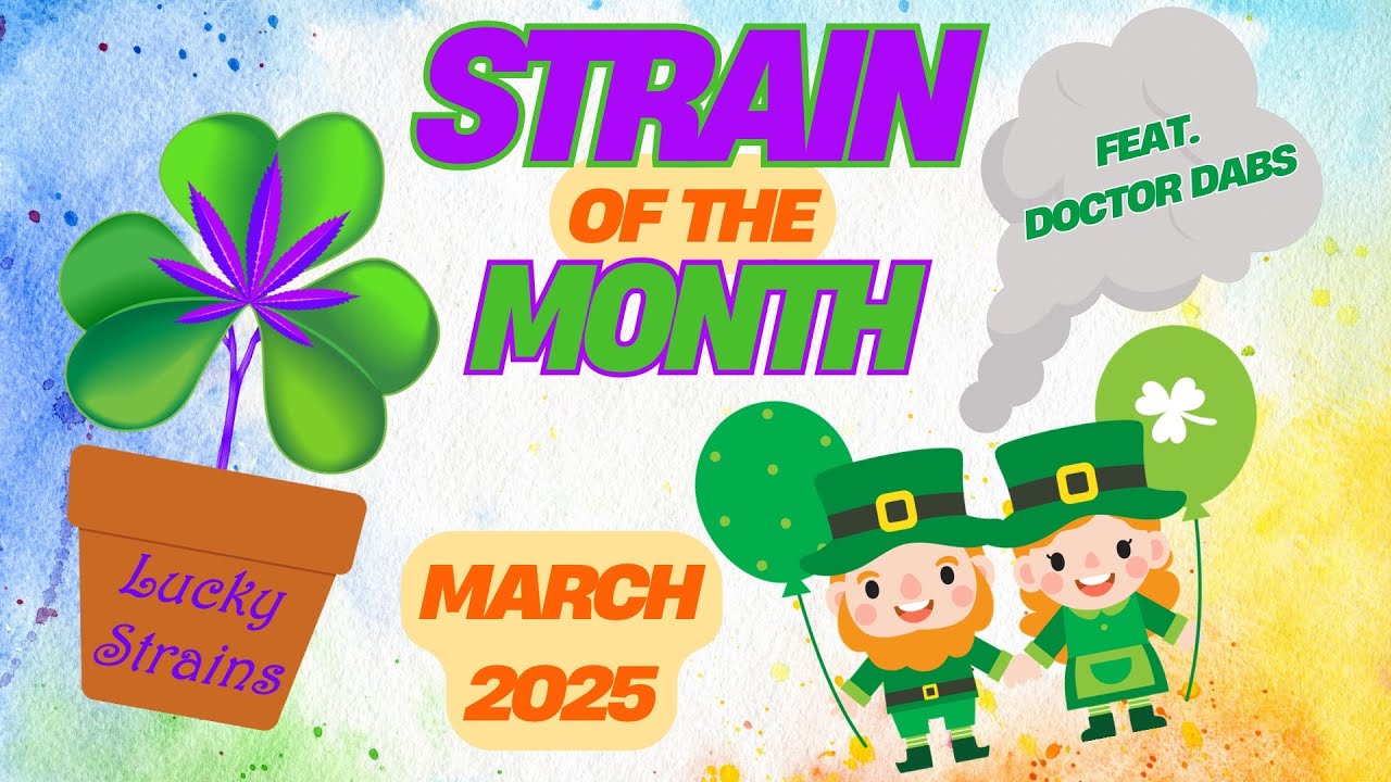 March - Strain of the Month - Lava Cake, Feat. Doctor Dabs