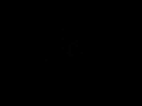 15 February 2025