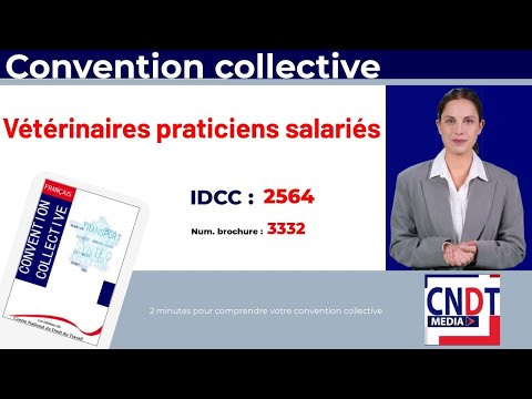 Vidéo : convention collective des vétérinaires praticiens salariés