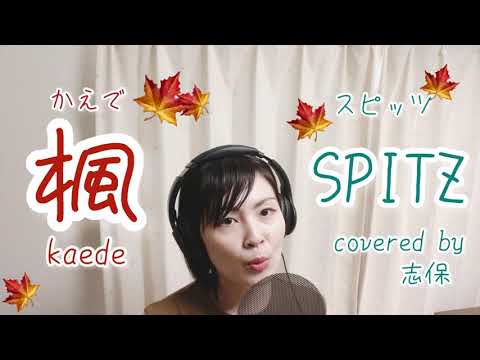 楓　スピッツ【弾き語りカバー】