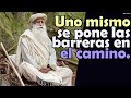 HAZ TODO LO QUE PUEDAS HACER,LO QUE TENGA QUE PASAR, PASARÁ  -Sadhguru (Subtitulado español)