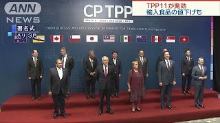 30日午前0時にTPP11が発効　輸入食品の値下げも(18/12/30)