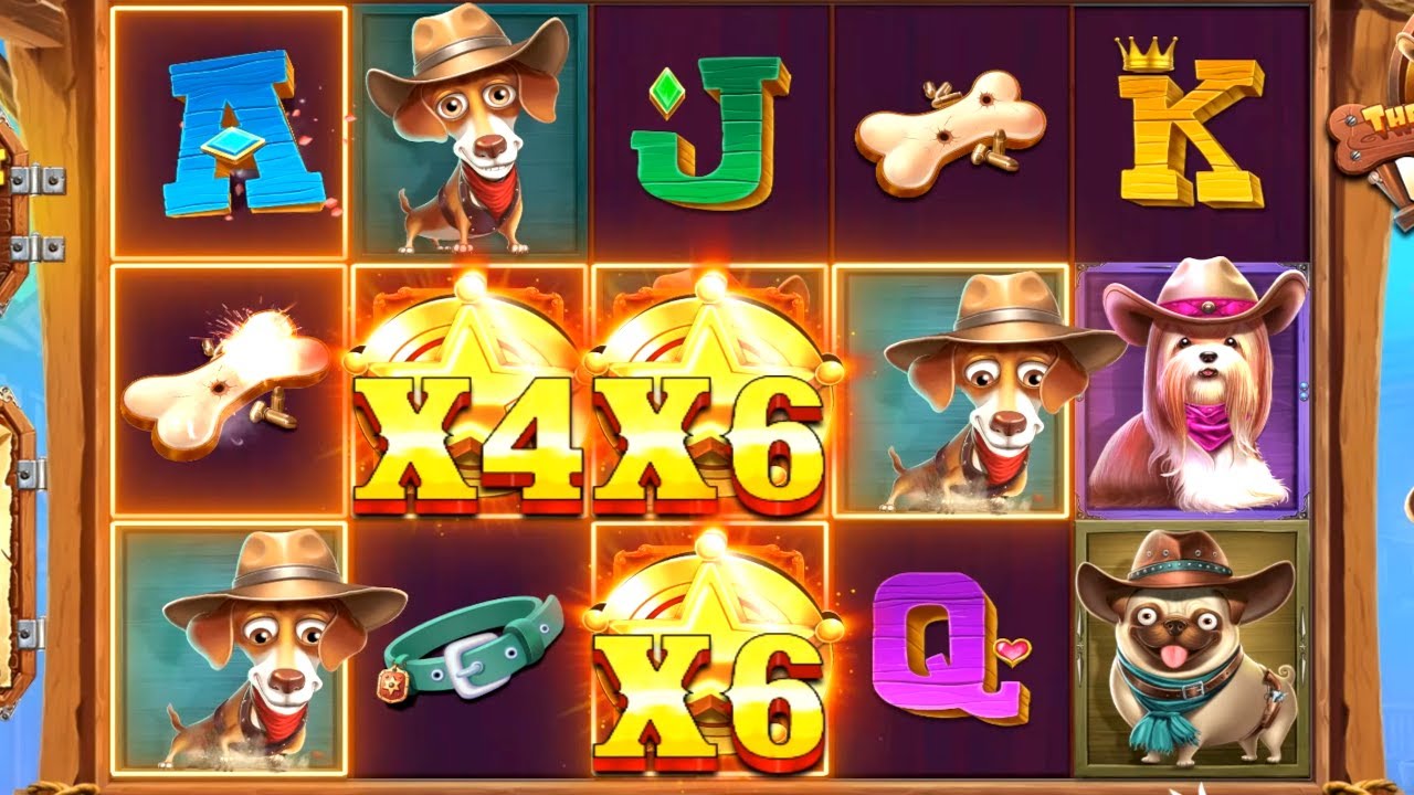 The Dog House Dog or Alive Sticks the Wilds for Some Big Wins