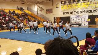FMS CHEERLEADERS (2nd place dance team)