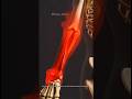 Early Signs of Rheumatoid Arthritis. Don’t ignore these Symptoms.