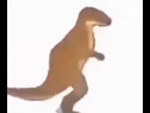 Abi 57 Levelim Elimde Top Gibi Bir Şey Var Abi !! 😂