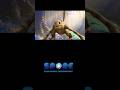 LEGIT — Original SPORE Creatures Came to Life with AI #games #shorts