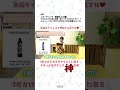 【コーティング・最終仕上げ編】VOODOORIDE様ご協賛！素人でもプロの仕上がり！？ジムニーノマドがぴっかぴかになる洗車シリーズ｜🔧Clazzioのカスタムちゃんねる🚗💨
