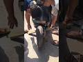 ola front suspension broken #ola #electriccar #reels #electricvehicle #trending #suspension