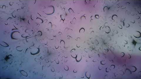 ‘Initialize’ – f5point6 (video)