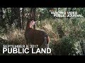 Public Land Day 1: In Search of a Giant Buck | The Hunting Public