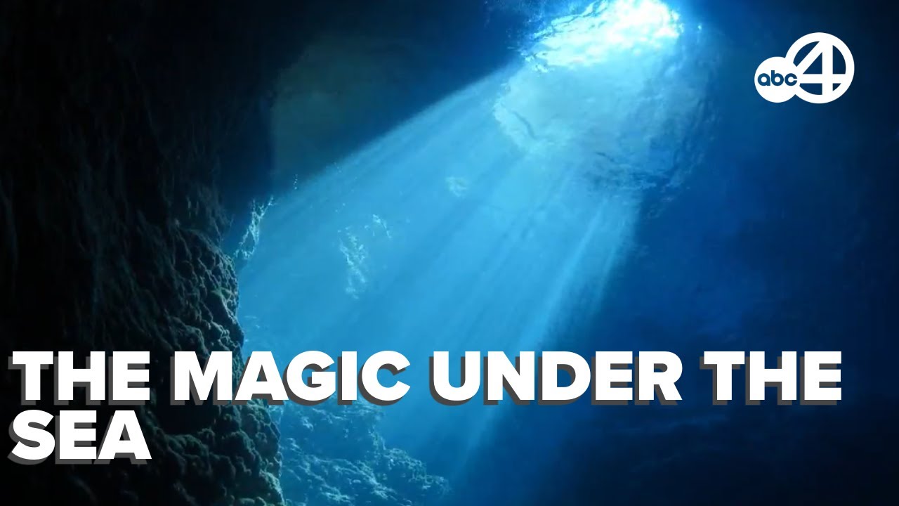 Triton Submarine CEO describes magic under the sea