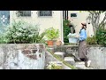 梅雨も心地よく整える🌿庭のある暮らし｜軽井沢の週末vlog
