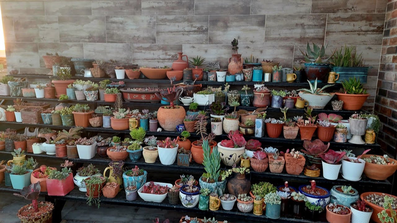 Kırıldığın Yerden Büyürsün , Çiçeklik Turu