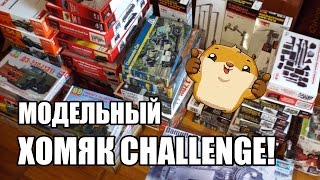 видео: Модельный Хомяк-Challenge! Ответ на  картинка: Модельный Хомяк-Challenge! Ответ на
