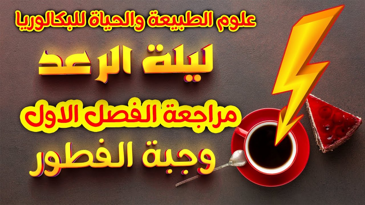 ⚡️وجبة الفطور 🥛للمراجعة الشاملة لامتحان الفصل الاول | بكالوريا 2025
