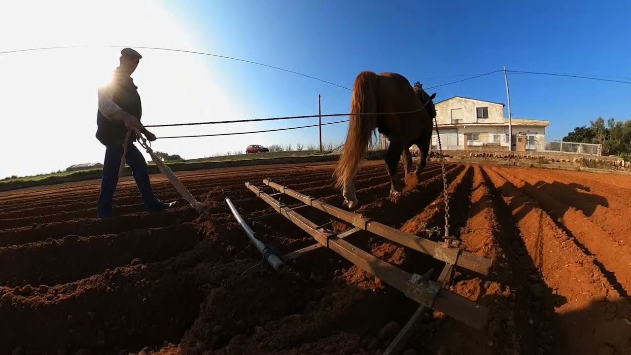 Terra Viva _ Hui sabrem que es SOLCAR