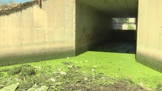 Tensions flare as activists fear plan to clean Albuquerque retention basin would bury animals alive