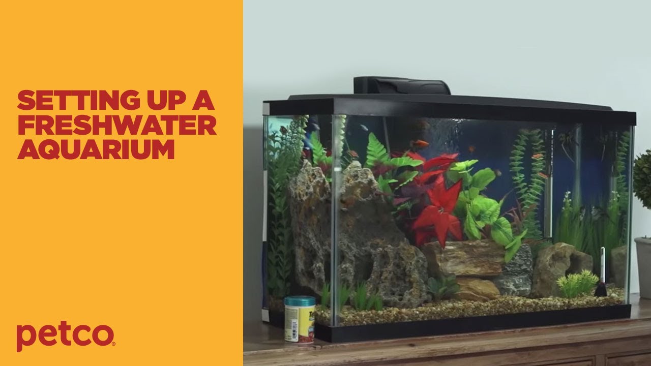 How to Setup a Fish Tank - Freshwater (Petco) 