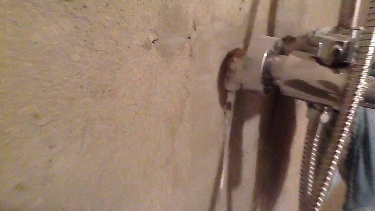 trim 9B28827C 93C0 455B 911D 6393AE39142D