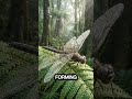 Earth’s Scariest Insects 300 Million Years Ago