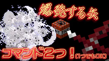 矢を発射マイクラコマンドswitch