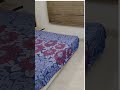 3BHK for Sale in Sarvodaya Enclave | South Delhi | ₹5.5 Cr #shorts #shortvideo #trending #youtube