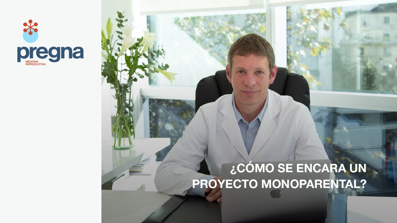 PREGNA - ¿Cómo se encara un proyecto monoparental?