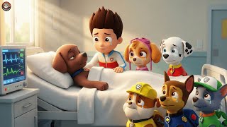 Farewell Zuma? What Happened To Zuma? Paw Patrol Fanmade.