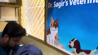 Veterinary Emergency Clinic: Dog & Cat Vaccination: Avian Vet: Exotic Vet: 01912251312 Vet Surgery by Vet Dr. Sagir Uddin Ahmed 2 views 2 days ago 12 seconds