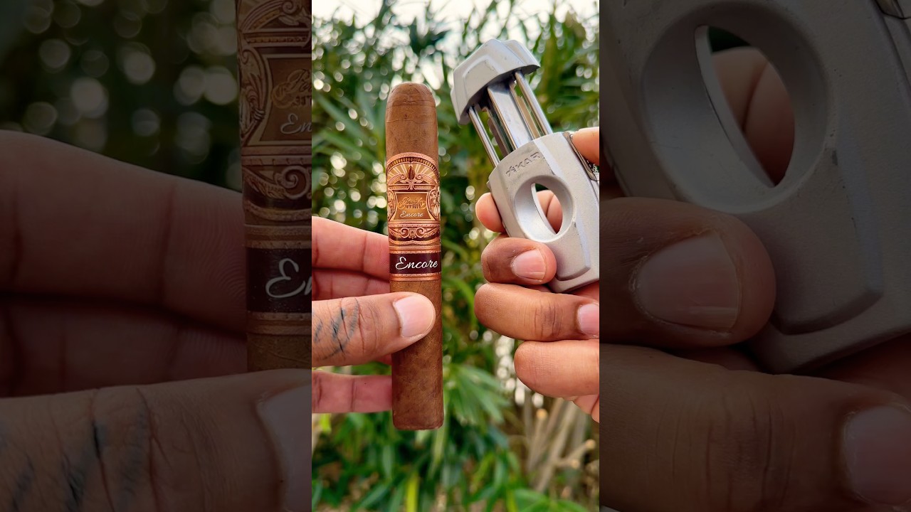 Enjoying the highly rated E.P. Carrillo Encore cigar in Majestic vitola 🔥🍁 