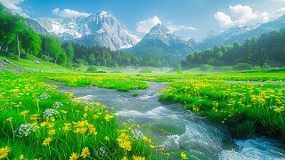 Soothing music for nerves🌿 healing music for the heart and blood vessels, relaxation by Enjoy Life 6,460 views 3 weeks ago 3 hours, 35 minutes