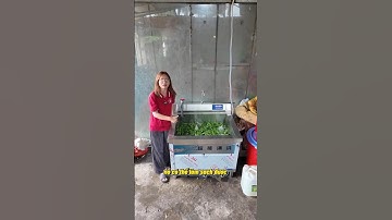 Máy Rửa Rau Củ Công Nghiệp Trợ thủ thầm lặng của ngành thực phẩm!