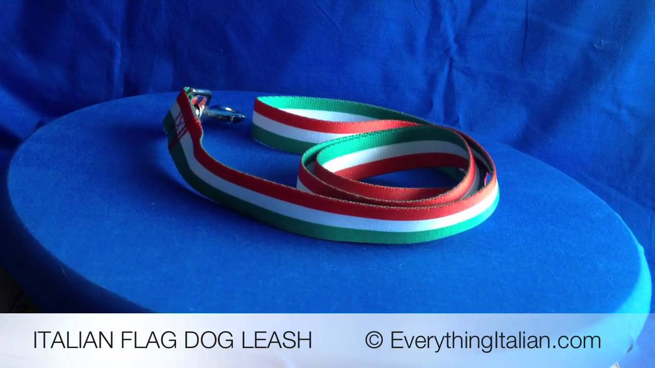 Italian Flag Dog Leash YouTube