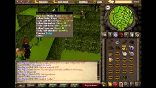 Runescape 2007 Old school servers MASSIVE Waterfall Quest raid by level 3s
