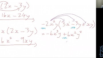 Live Lesson: Checkpoint Mathematics - Distributive Law and Area