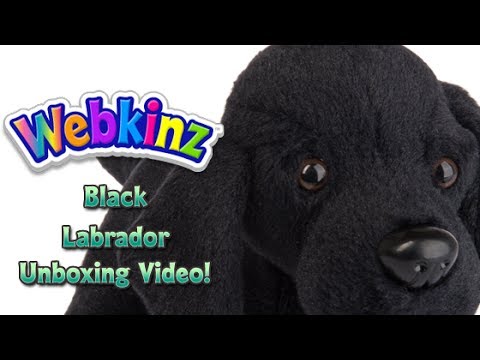 webkinz black dog