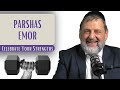 Emor  celebrate your strengths  rabbi dovid orlofsky