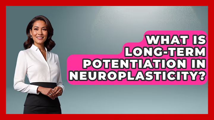 What Is Long-Term Potentiation In Neuroplasticity? - Brain Development Hub
