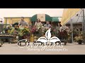 Covington's Nursery Presents: 'Plant Intervention'