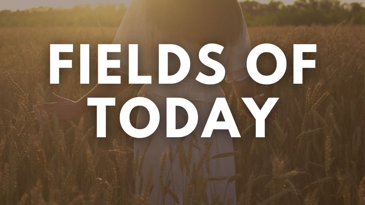 Fields of Today | The Story of Ruth