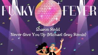 Sharon Redd  Never Give You Up michael Gray Remix