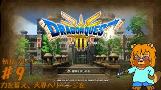 【初見・ネタバレあり】HD-2D版　ドラゴンクエストⅢ　Part.9