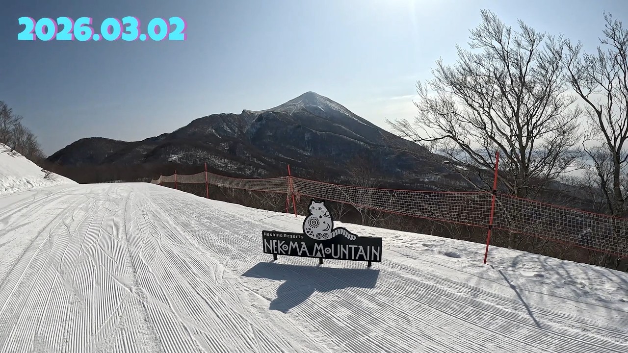 ネコマ▲マウンテン　 広大なゲレンデ・滑りがいありますね　☺快晴の春スキー☺　2026年03月02日